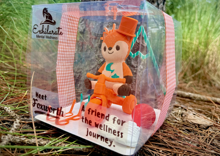 Foxworth Toy Package